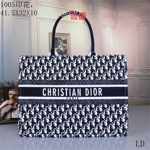 Dior bag-0050