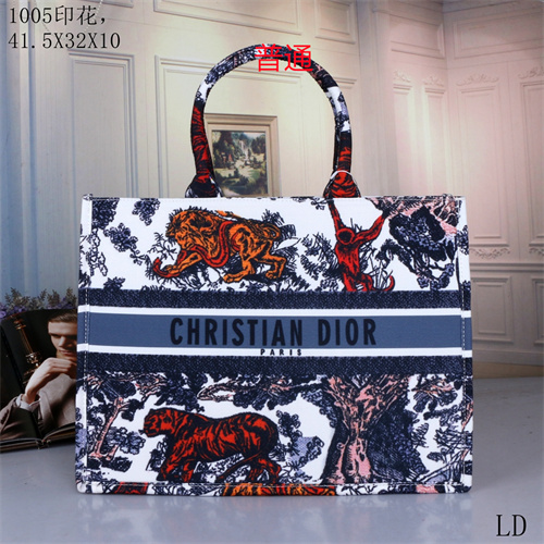 Dior bag-0062