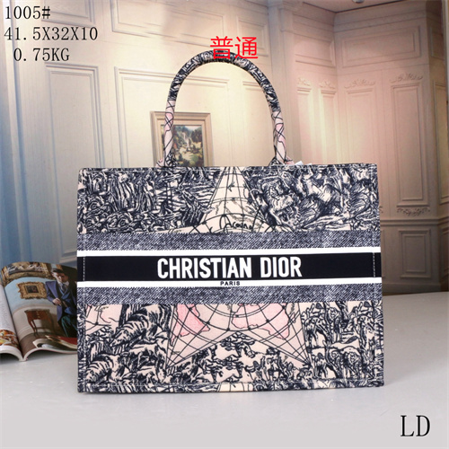 Dior bag-0077