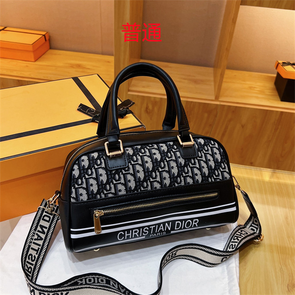 Dior bag-0082