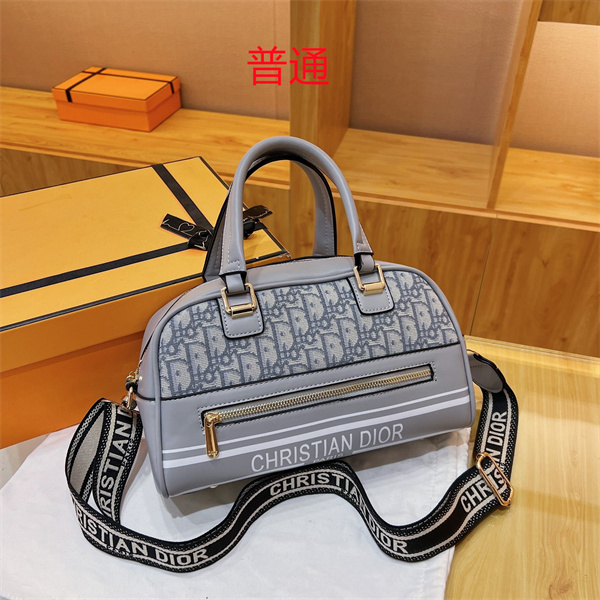 Dior bag-0083