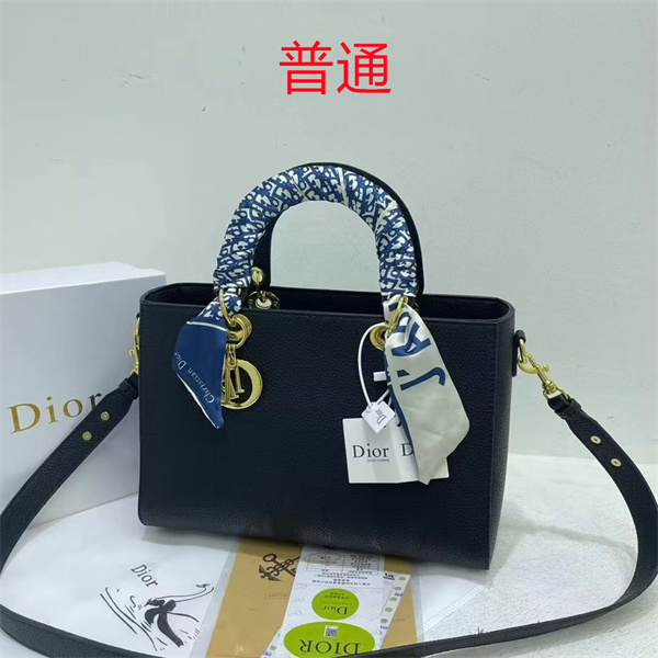 Dior bag-0120