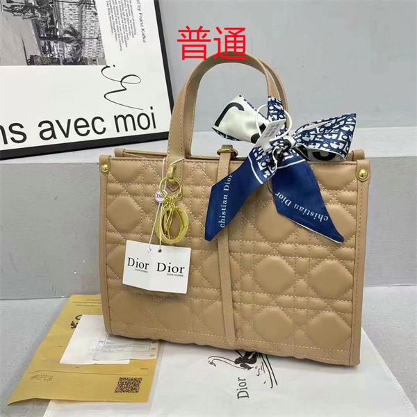 Dior bag-0122