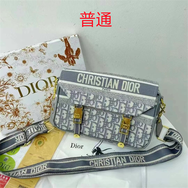 Dior bag-0134