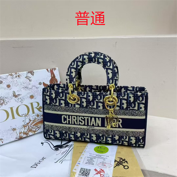 Dior bag-0141