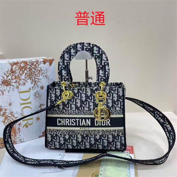 Dior bag-0156