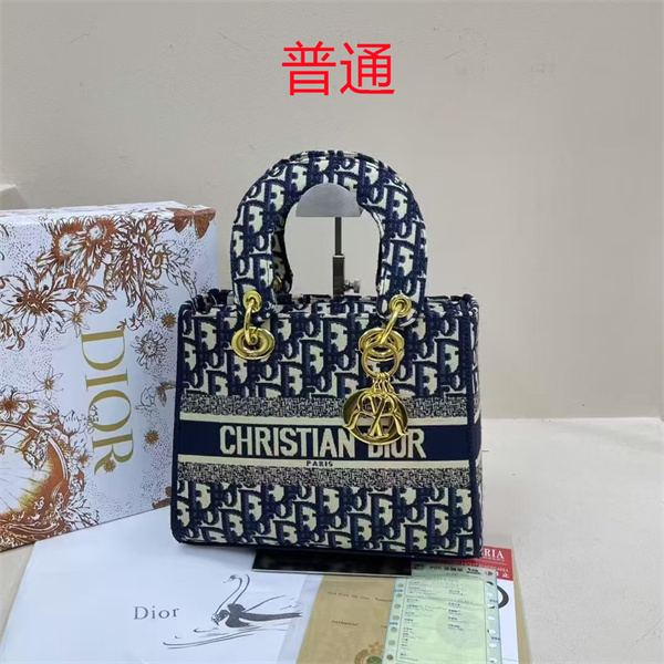Dior bag-0158