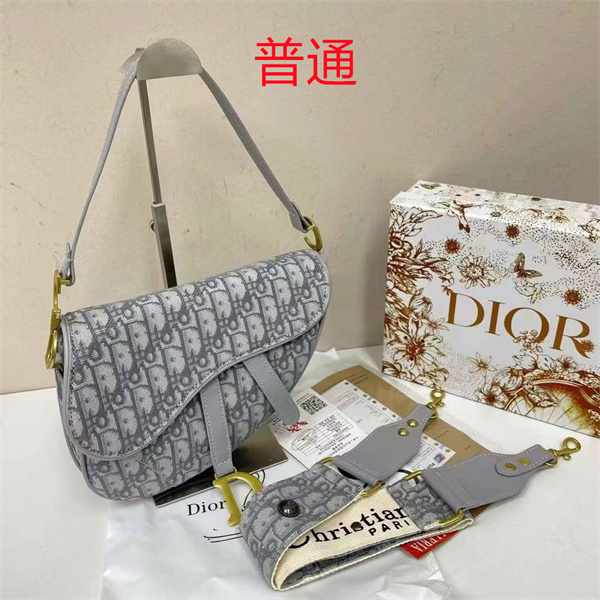 Dior bag-0160