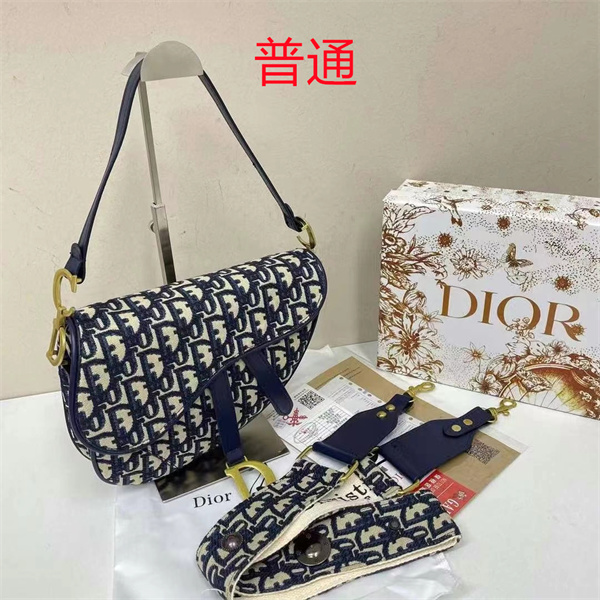 Dior bag-0161