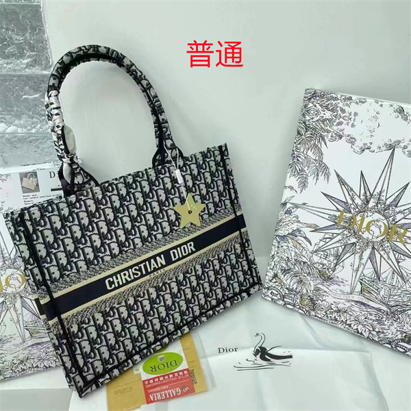 Dior bag-0171