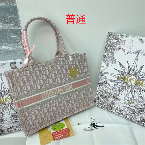 Dior bag-0173