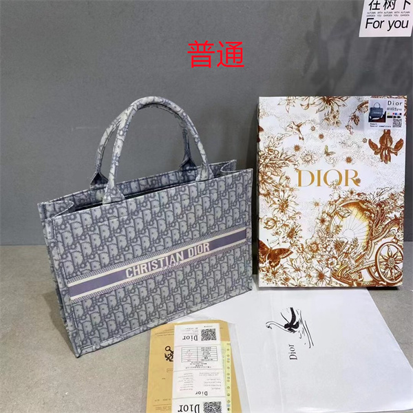 Dior bag-0180