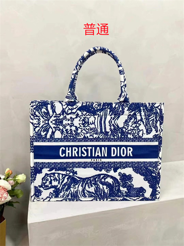 Dior bag-0187