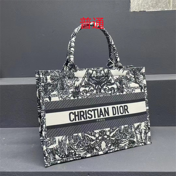 Dior bag-0202