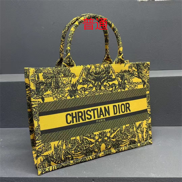 Dior bag-0204