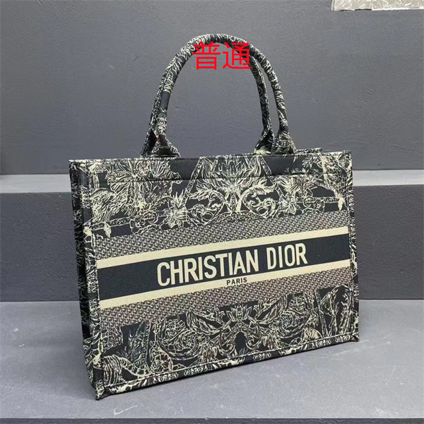 Dior bag-0205