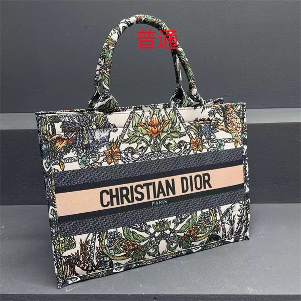 Dior bag-0206