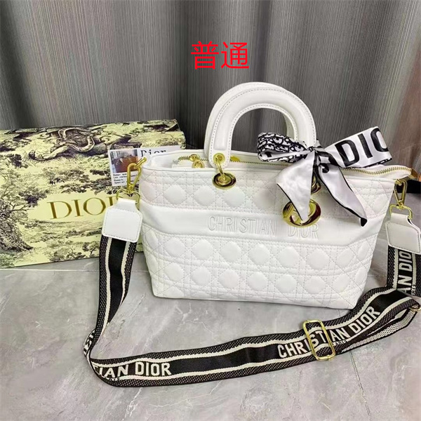 Dior bag-0219