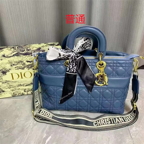 Dior bag-0220