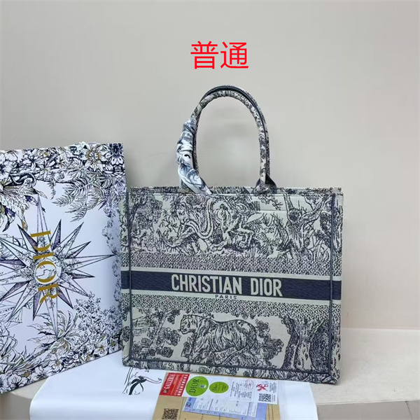 Dior bag-0223