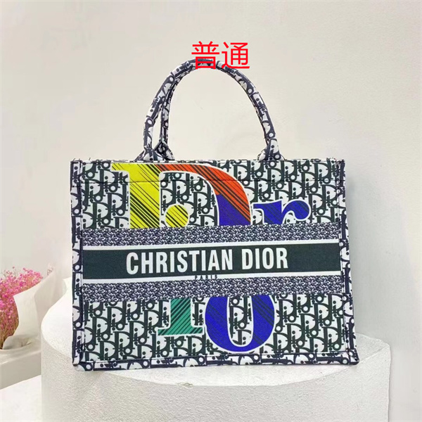 Dior bag-0236