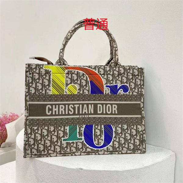 Dior bag-0240