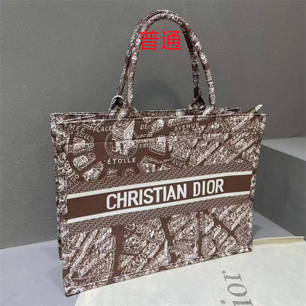 Dior bag-0244