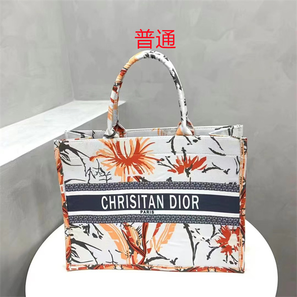 Dior bag-0255