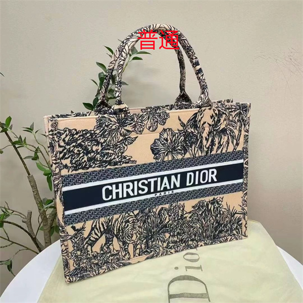 Dior bag-0257