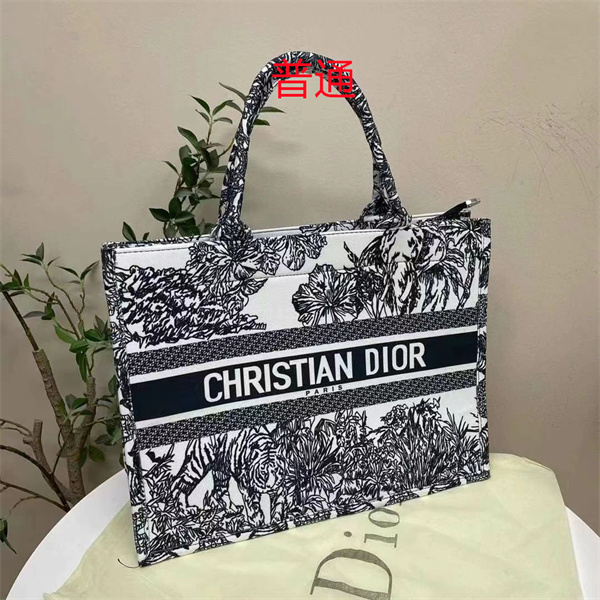 Dior bag-0258