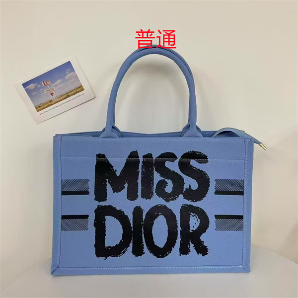 Dior bag-0269