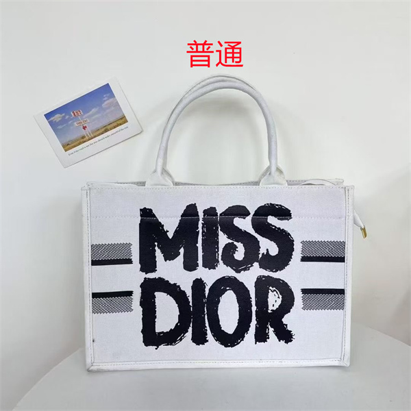 Dior bag-0271