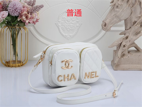 Chanel small bag-0027
