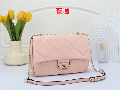 Chanel bag-0120