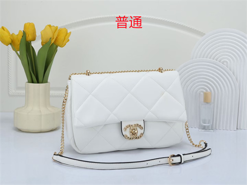 Chanel bag-0125
