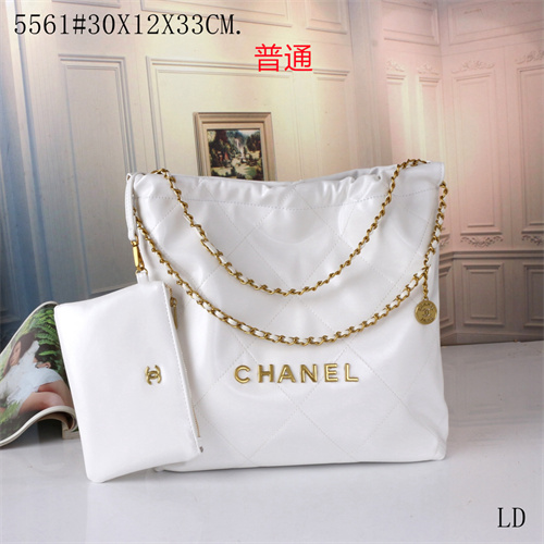 Chanel bag-0155