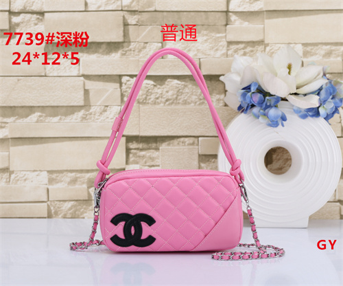Chanel small bag-0050
