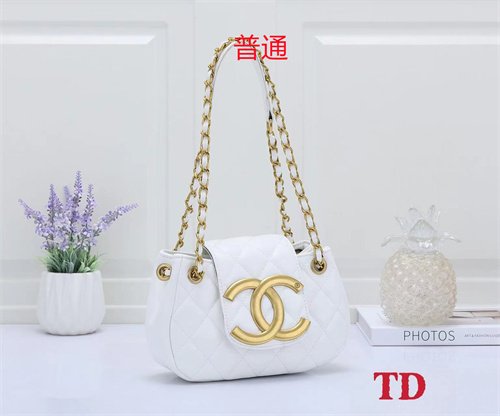 Chanel small bag-0060