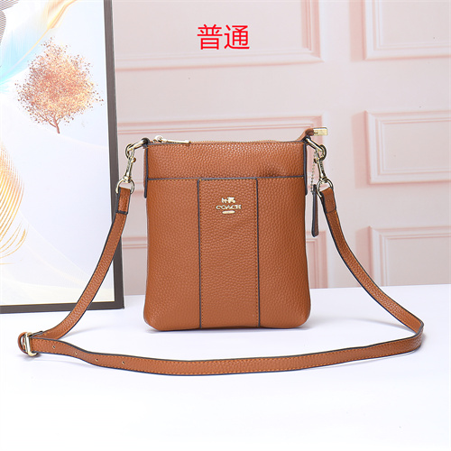 Coach small bag-0058