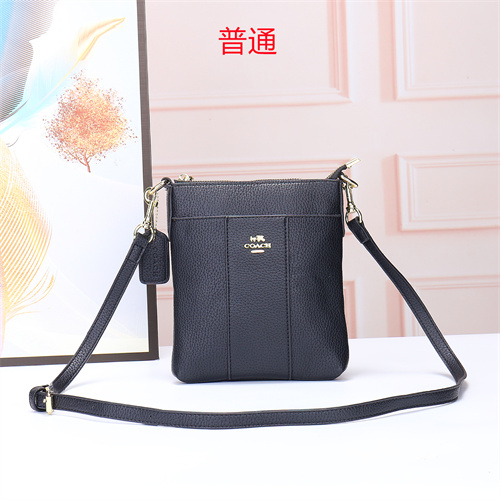 Coach small bag-0061