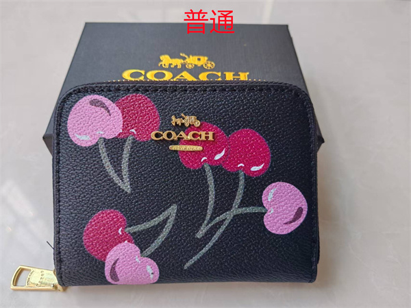 Coach Wallet-0070