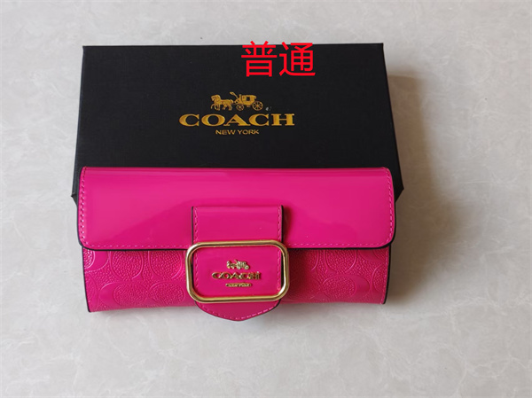 Coach Wallet-0229