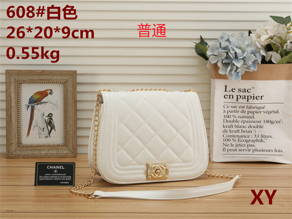 Chanel small bag-0071