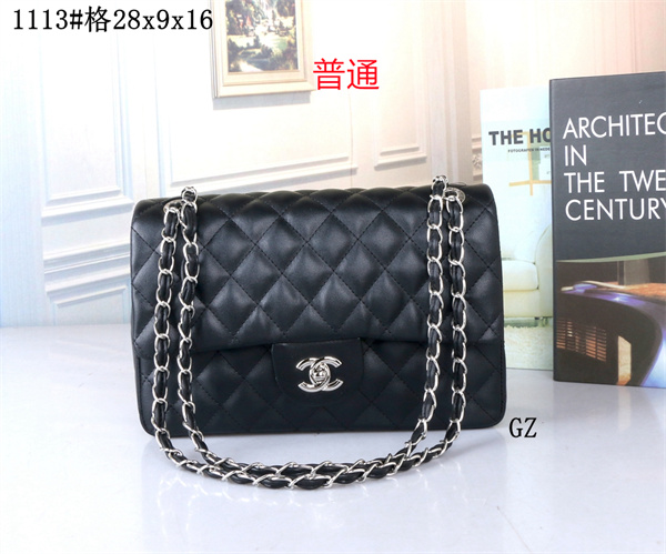 Chanel bag-0183