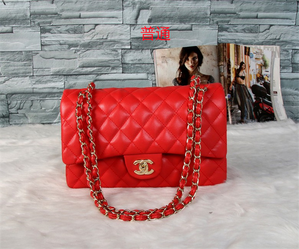 Chanel bag-0188