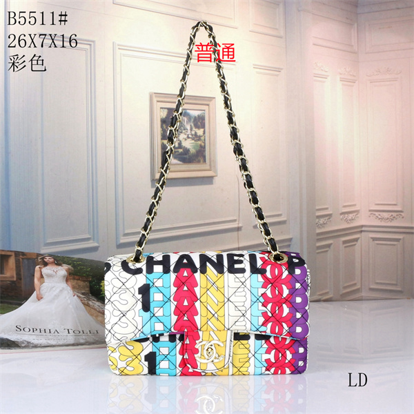 Chanel small bag-0095