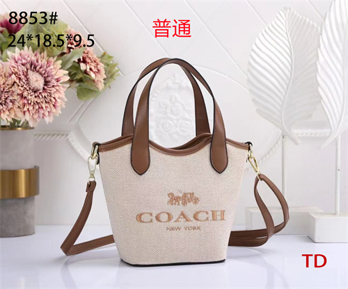 Coach small bag-0066