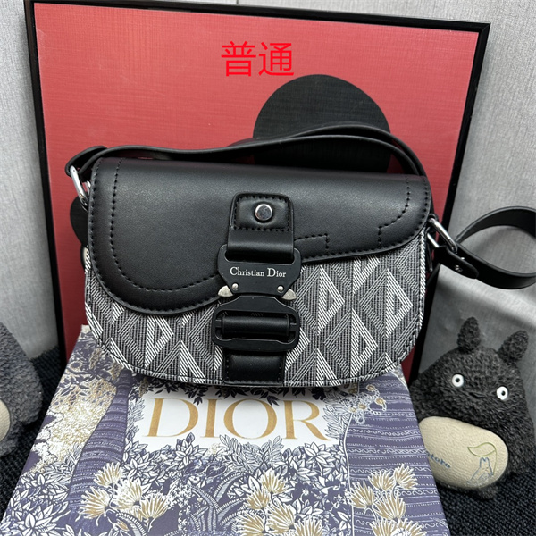 Dior small bag-0118