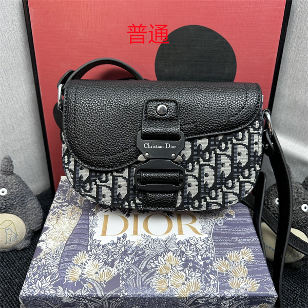 Dior small bag-0119