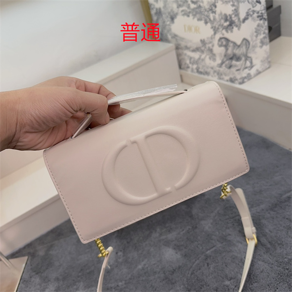 Dior small bag-0123